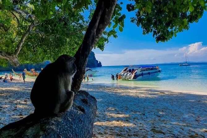 From Krabi to Phi Phi Islands Speedboat Day Tour - Speedboat Departure Point