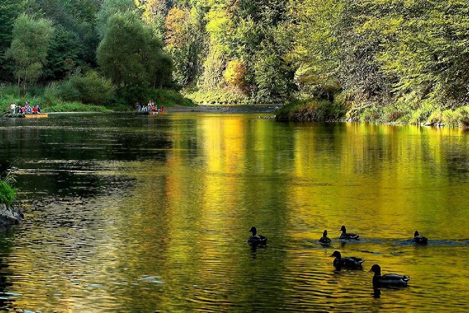 From Krakow: Dunajec River Rafting in Pieniny Mountains - Additional Information and Requirements