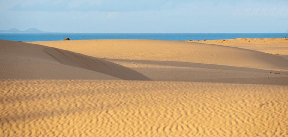 From Lanzarote: Corralejo Buggy Safari - Full Activity Description