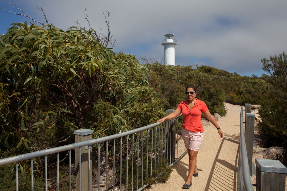 From Launceston: Full-Day Wineglass Bay Explorer Tour - Tour Highlights