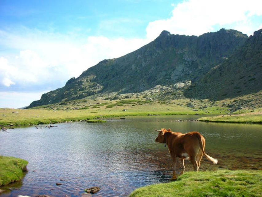 From Madrid: Day Trip to Guadarrama National Park - Activity Details