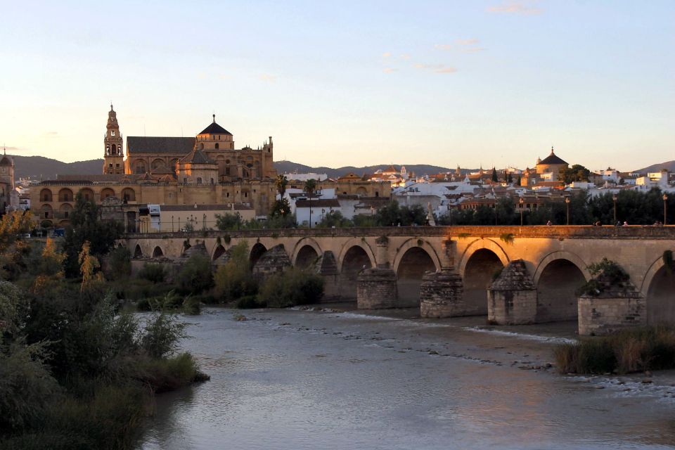 From Málaga: Córdoba Mosque Cathedral Guided Tour - Activity Highlights