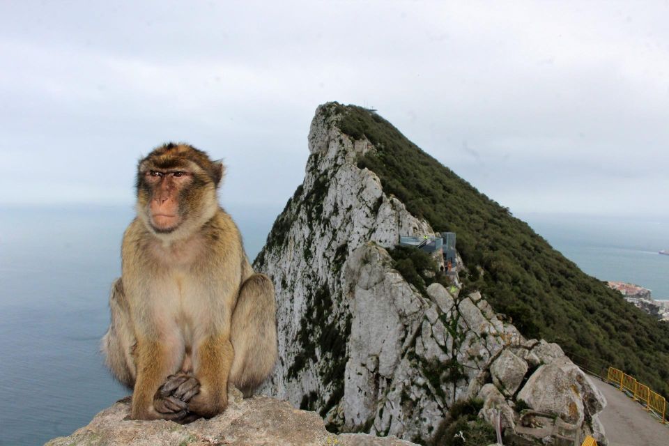 From Málaga: Gibraltar Rock and Caves Full-Day Tour - Activity Duration and Starting Times