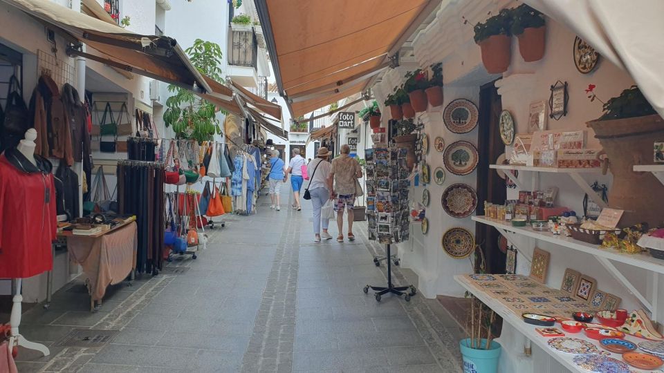 From Malaga: Private Guided Day Trip to Nerja and Frigiliana - Tour Highlights