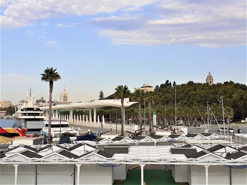 From Marbella: Malaga Private Tour - Tour Inclusions