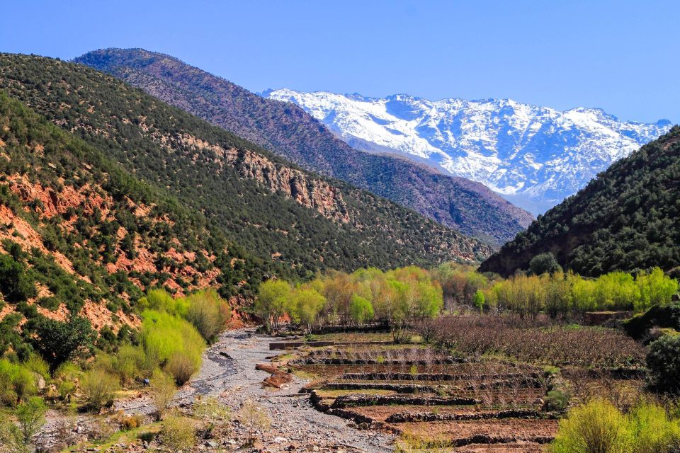 From Marrakech: Ourika Valley Day Trip - Tour Highlights