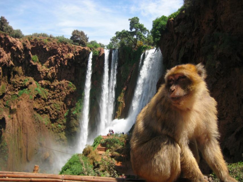 From Marrakech: Ouzoud Waterfalls Guided and Boat Ride - Local Area Exploration