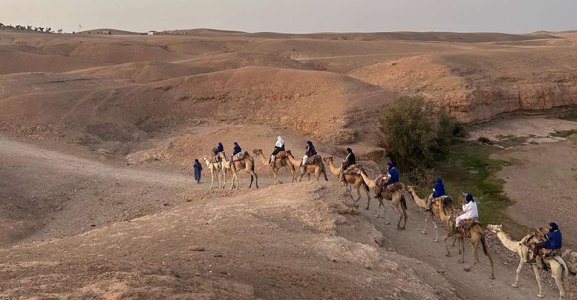 From Marrakesh: Agafay Desert Sunset, Camel Ride, and Dinne - Traditional Moroccan Dinner Show