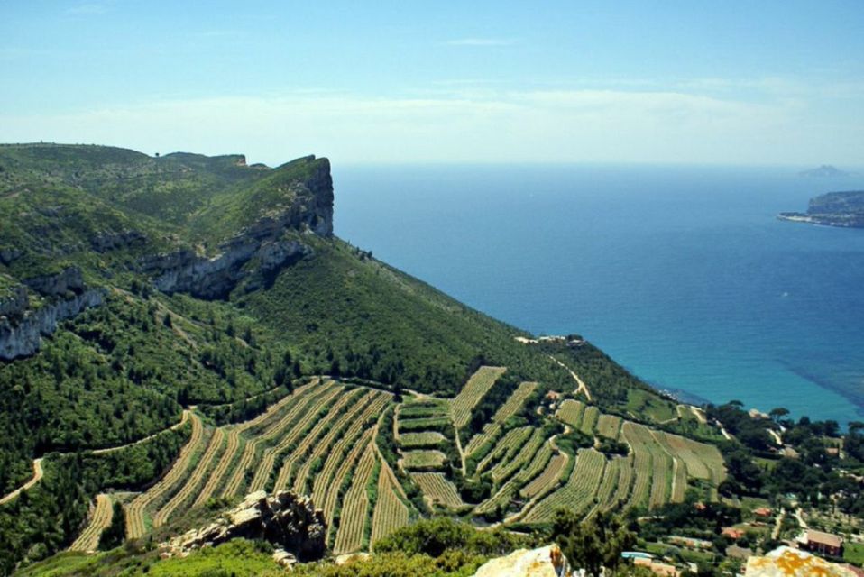 From Marseille: Bandol/Cassis Wine Tour With Viewpoint - Location and Transportation Information