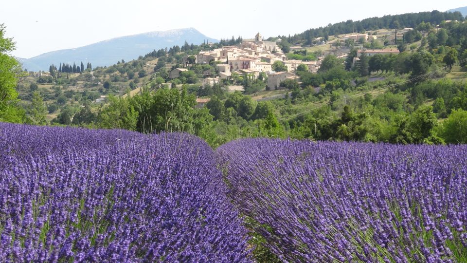 From Marseille: Lavender Full-Day Trip to Sault - Experience Highlights