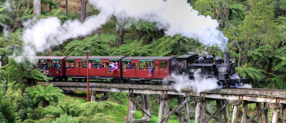 From Melbourne: Puffing Billy and Penguin Parade Combo Tour - Itinerary