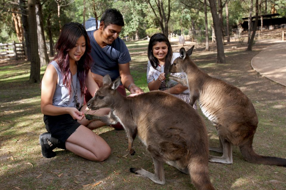 From Melbourne: Puffing Billy Steam Train & Wildlife Tour - Booking Information