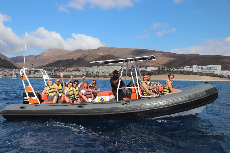 From Morro Jable: Dolphin and Whale Watching by Speedboat - Activity Details