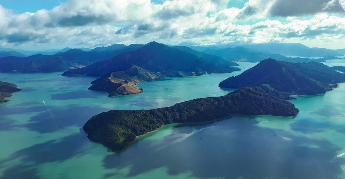 From Nelson: Marlborough Sounds Scenic Helicopter Flight - Experience Highlights