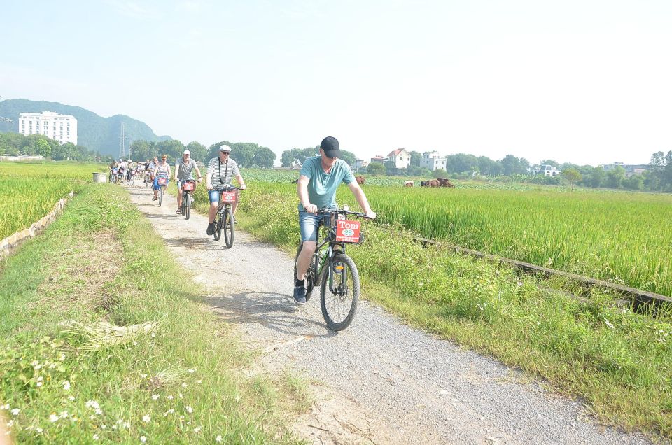 From Ninh Binh: Bai Dinh, Mua Cave, Tam Coc Boat & Cycling - Experience Highlights