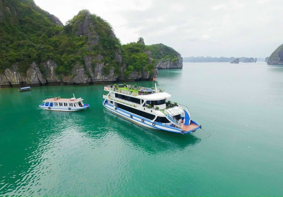 From Ninh Binh Lan Ha Bay 8 Hours Cruise: Kayaking,Snorkling - Experience Highlights