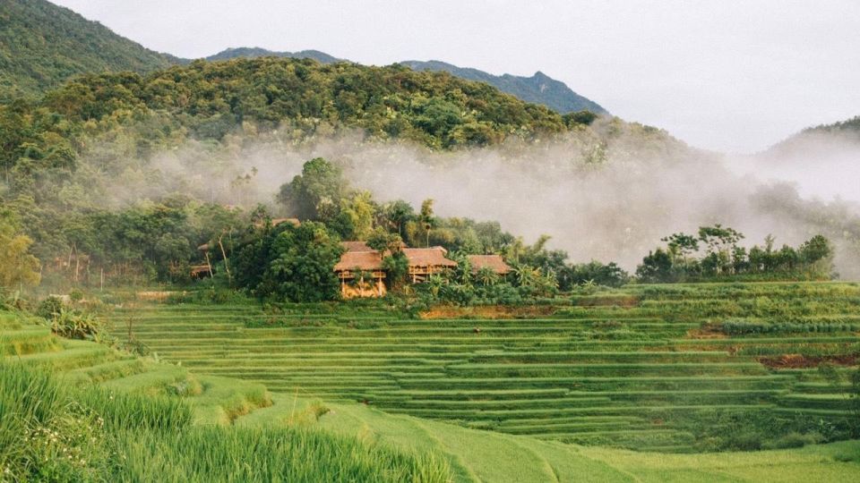 From Ninh Binh : Pu Luong 2 Days 1 Night Drop off Ha Noi - Live Tour Guide and Pickup Details