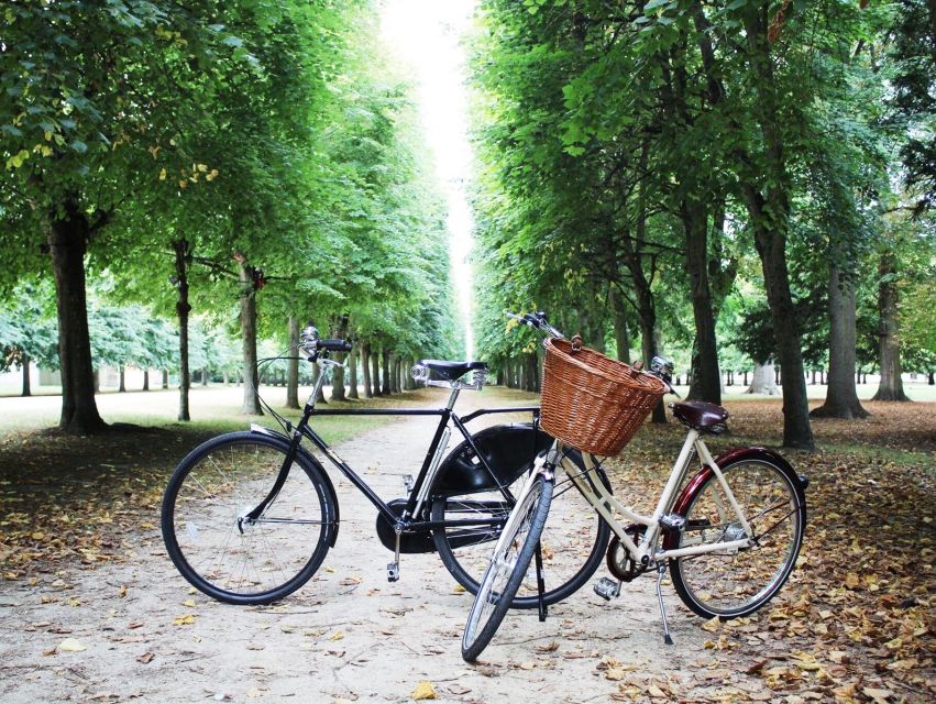 From Paris: Skip-the-Line Palace of Versailles Bike Tour - Customer Reviews