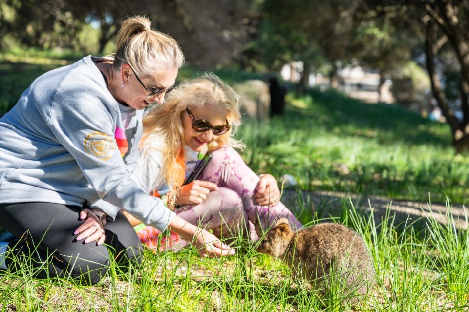 From Perth: Rottnest Island Full-Day Bike and Ferry Trip - Pricing Information