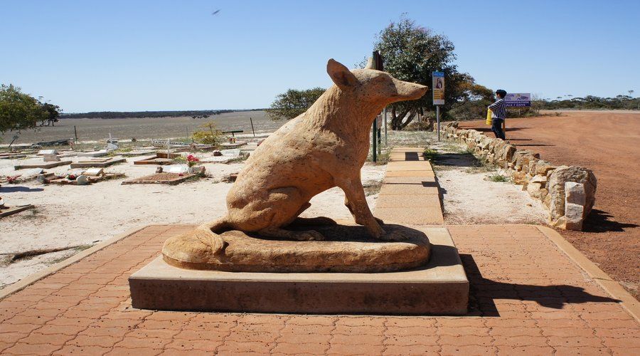 From Perth: Wave Rock and York Cultural Tour With a Guide - Experience Highlights