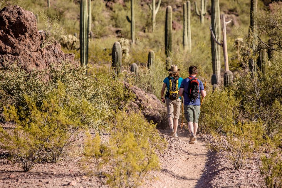 From Phoenix: Gold Rush Guided Hiking and Gold Panning Tour - Experience Highlights