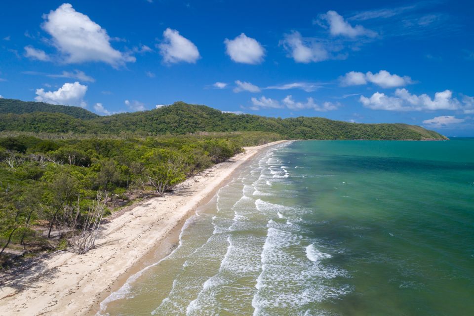 From Port Douglas: Daintree and Mossman Gorge Day Tour - Experience Highlights