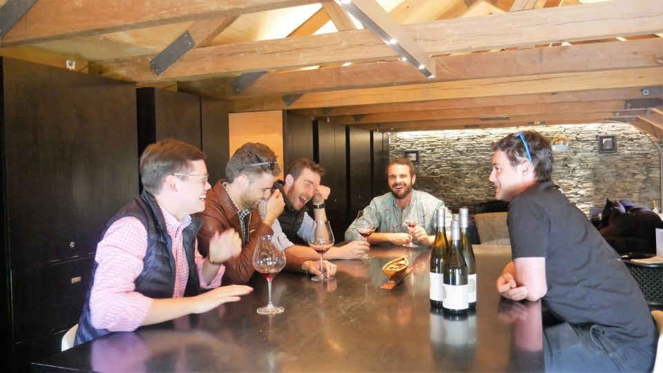 From Queenstown: 4-Hour Afternoon Boutique Wine Tour - Experience Highlights and Itinerary