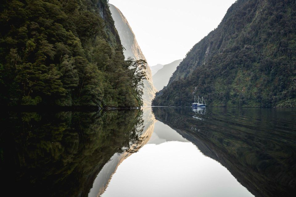 From Queenstown: Doubtful Sound Wilderness Day Trip - Experience Highlights