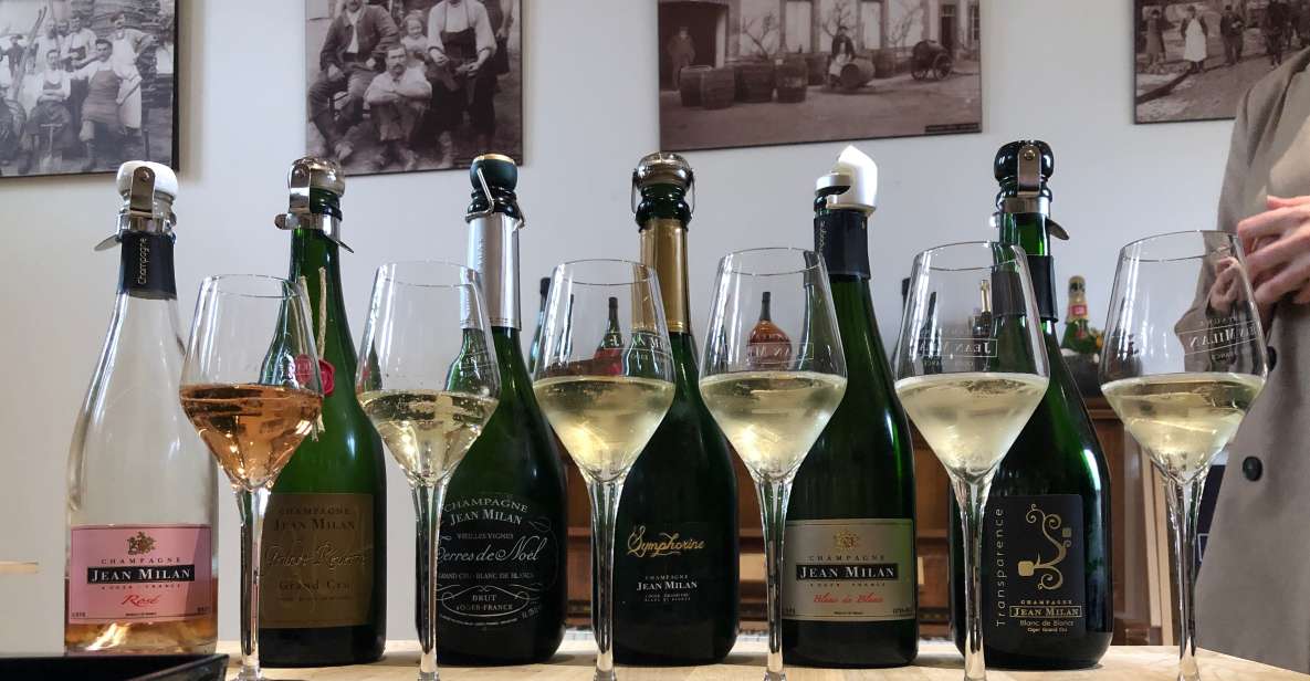 From Reims/Epernay: Private Gold Champagne Tasting Tour - Pickup and Cancellation Policy