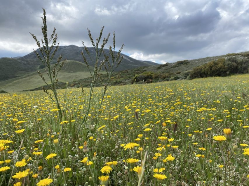 From Rethymno: Eleven Gates Hike on The Shepherds Path - Activity Provider: Eco Events