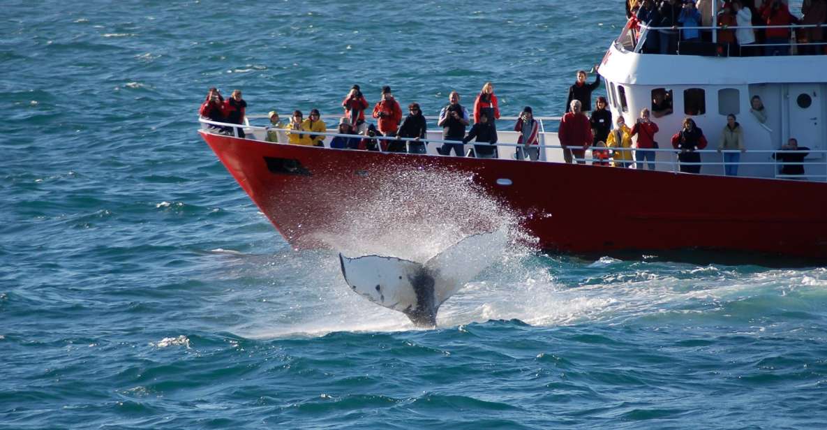 From Reykjavik: Golden Circle and Whale Watching Tour - Booking Details