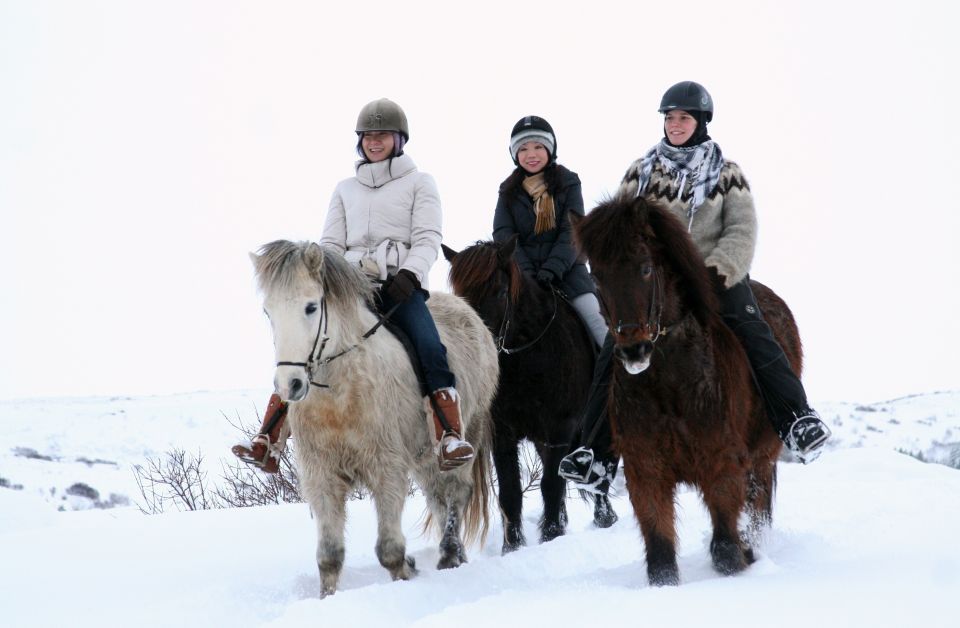 From Reykjavík: Icelandic Horse Riding Tour in Lava Fields - Experience Highlights