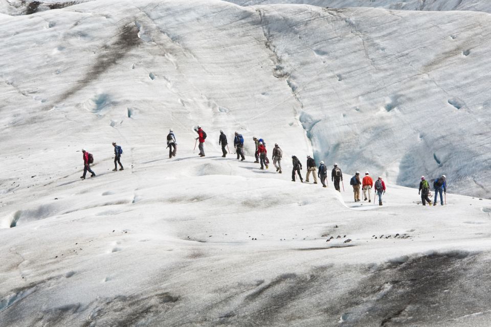 From Reykjavik: Iceland's South Coast and Glacier Tour - Activity Details