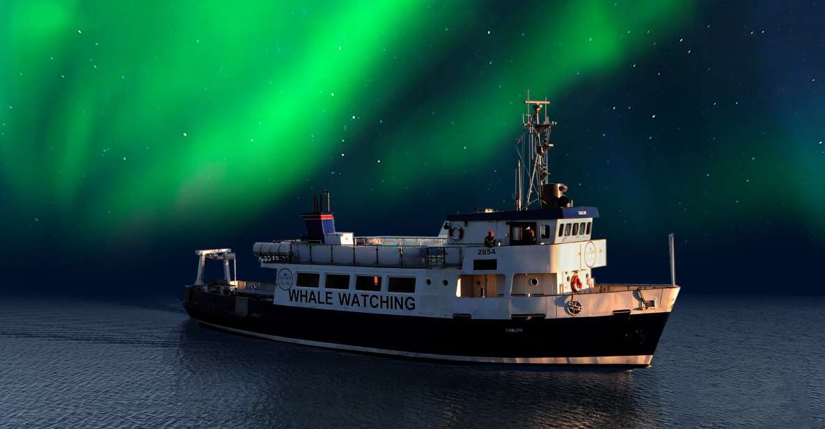 From Reykjavik: Northern Lights Sightseeing Cruise - Experience Highlights