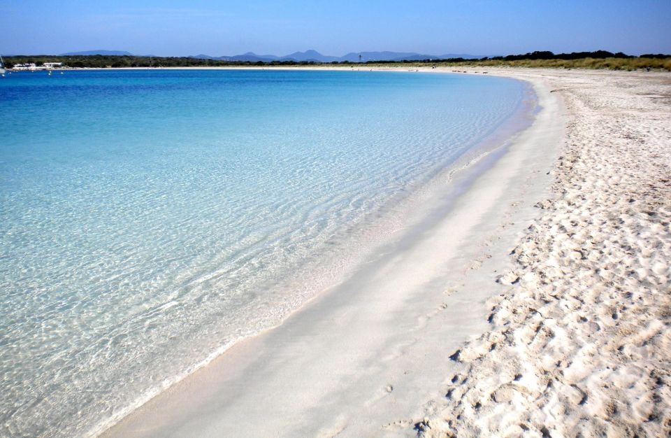 From San Antonio or Ibiza: Discover Es Vedrà and Formentera - Tour Inclusions and Itinerary