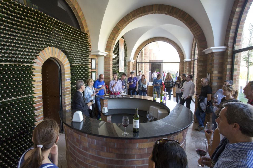 From San Sebastian/Bilbao/Vitoria: La Rioja Wineries Tour - Experience Highlights