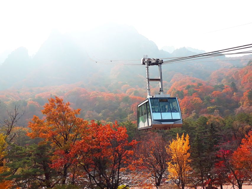 From Seoul: Seoraksan, Nami, and Garden of Morning Calm Tour - Transportation and Pricing Details