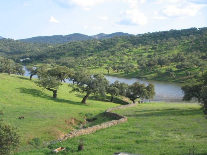 From Seville: Full-Day Aracena & Rio Tinto Mines Tour - Experience Highlights