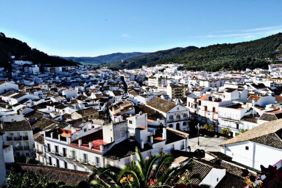 From Seville: White Villages Tour - Tour Highlights