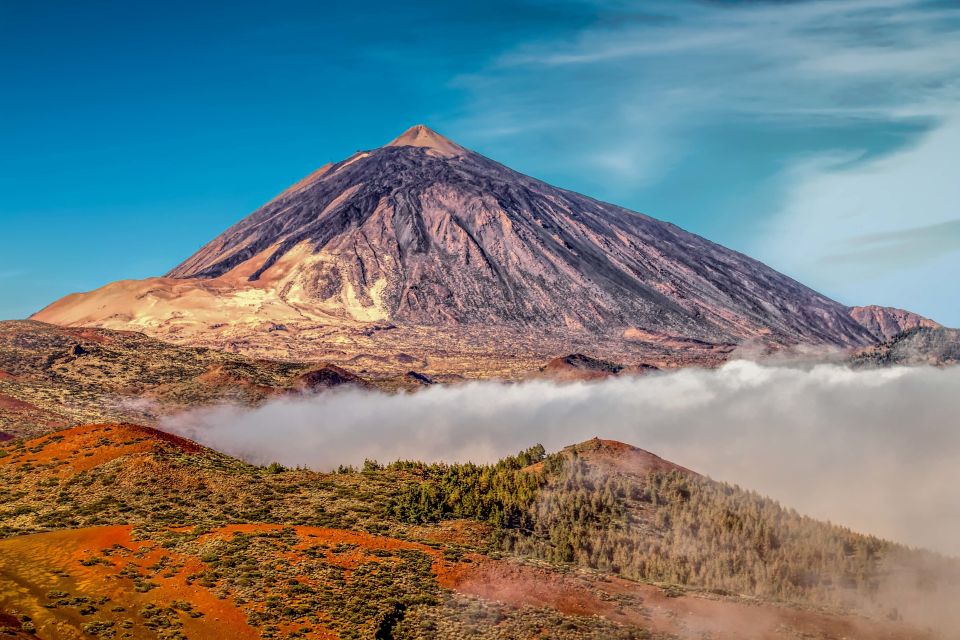 From South Tenerife: Mount Teide Hiking Day Trip & Cable Car - Booking Information