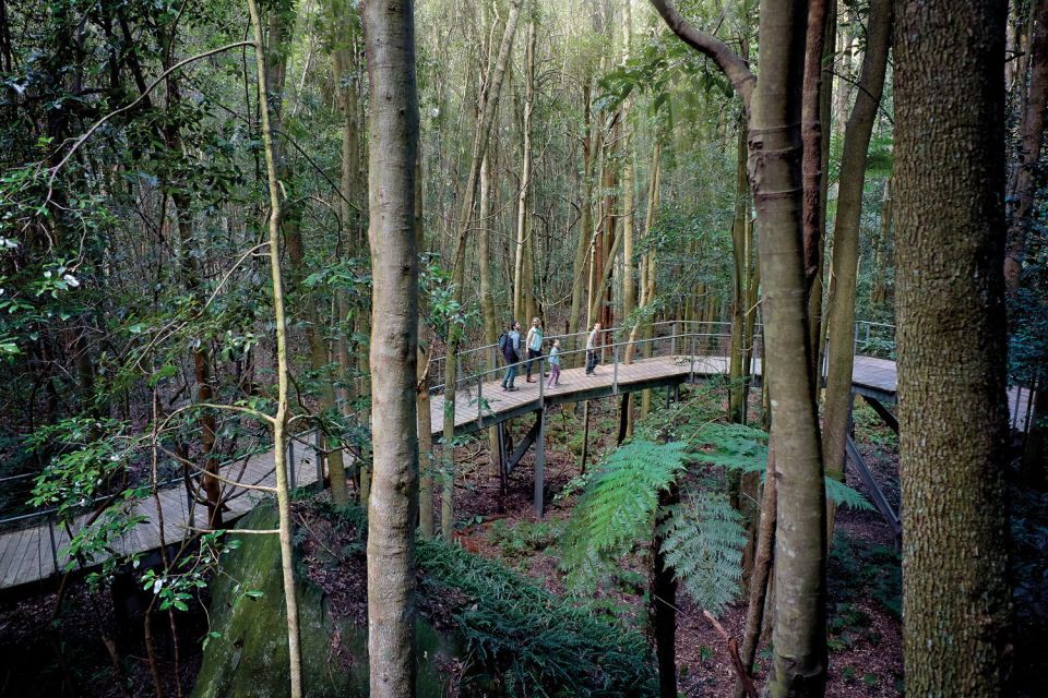 From Sydney: Blue Mountains, Scenic World, Zoo, & Ferry Tour - Customer Reviews