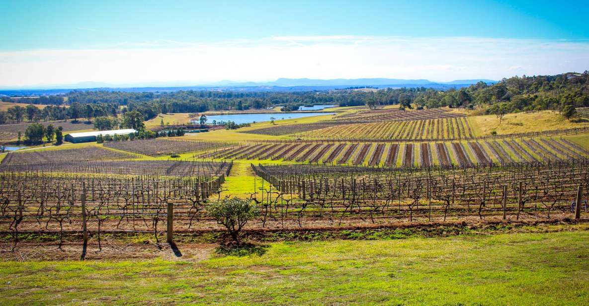 From Sydney: Hunter Valley Wine Tasting Private Day Tour - Experience Highlights