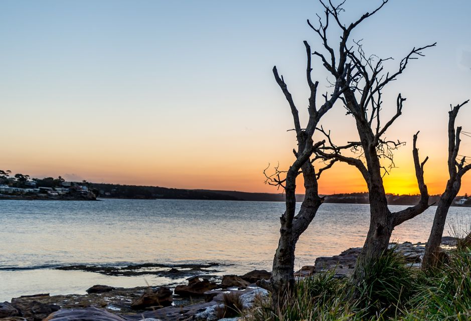 From Sydney: Sea Cliff Bridge, Beaches, and Farmlands Tour - Activity Details