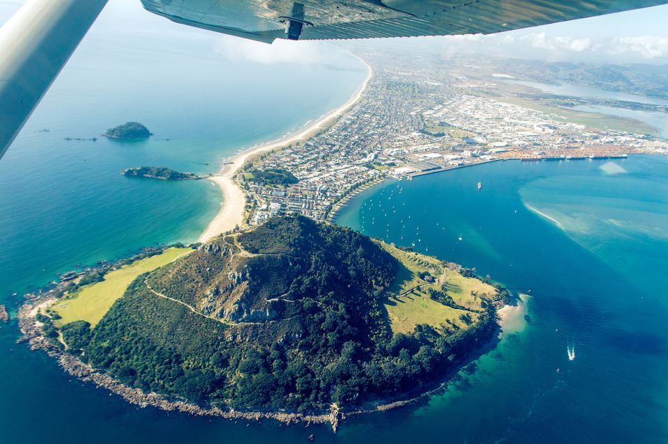From Tauranga: Skydive Over Mount Maunganui - Experience Description