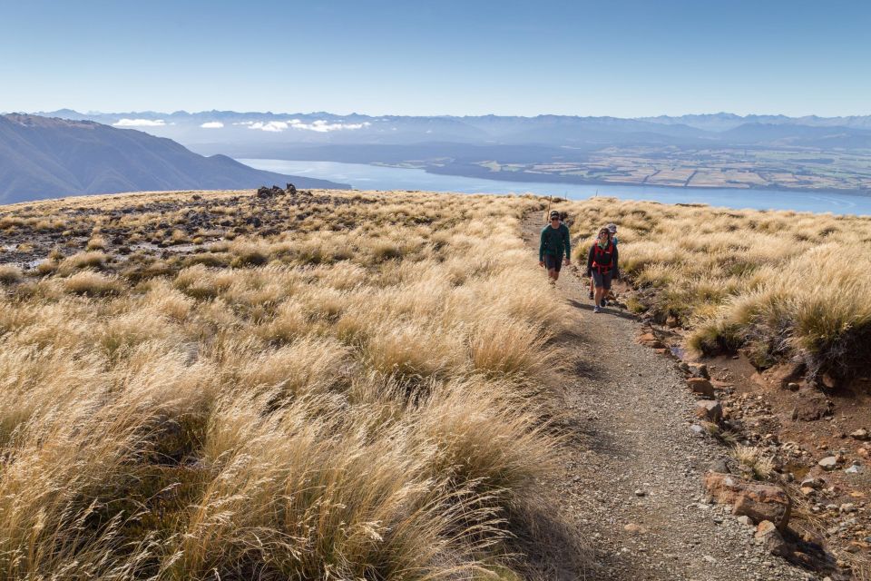 From Te Anau: Full Day Kepler Track Guided Heli-Hike - Experience Highlights