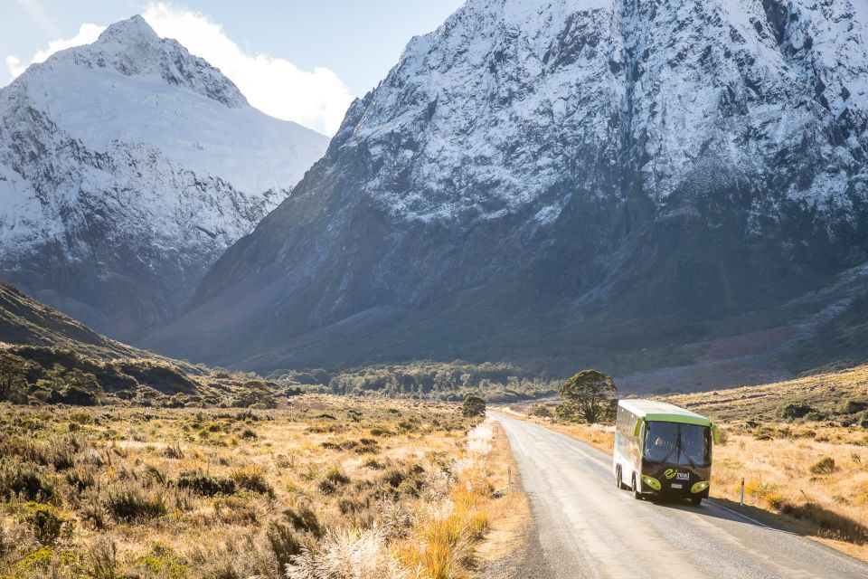 From Te Anau: Milford Sound Cruise and Coach Day Trip - Experience Highlights