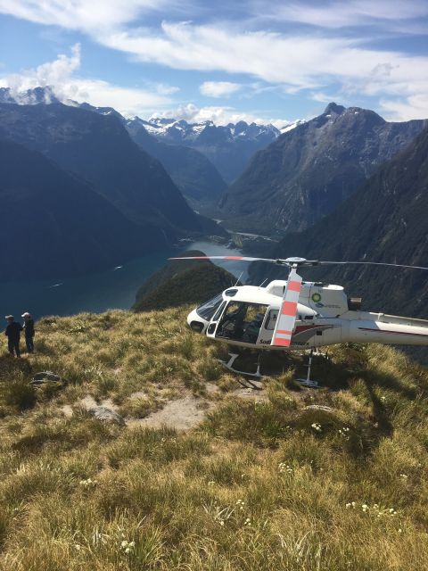 From Te Anau: Scenic Flight to Doubtful and Milford Sound - Flight Experience