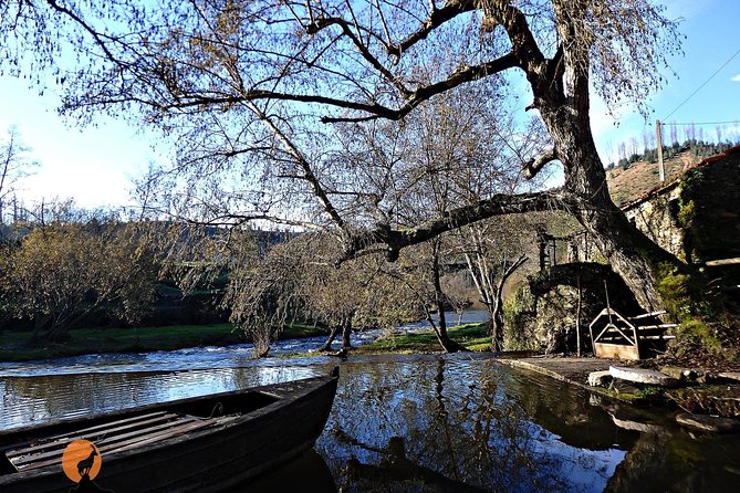 From the Schist Villages of Lousã to the Mills of Penacova - Visiting the Lousã Castle