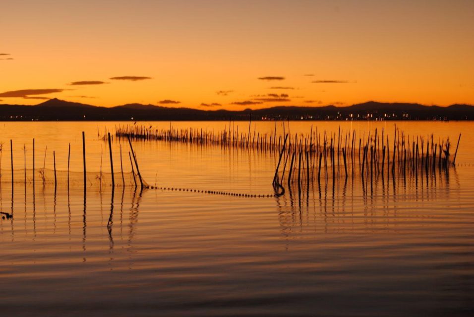 From Valencia: Albufera Natural Park With Sunset Experience - Activity Duration and Availability