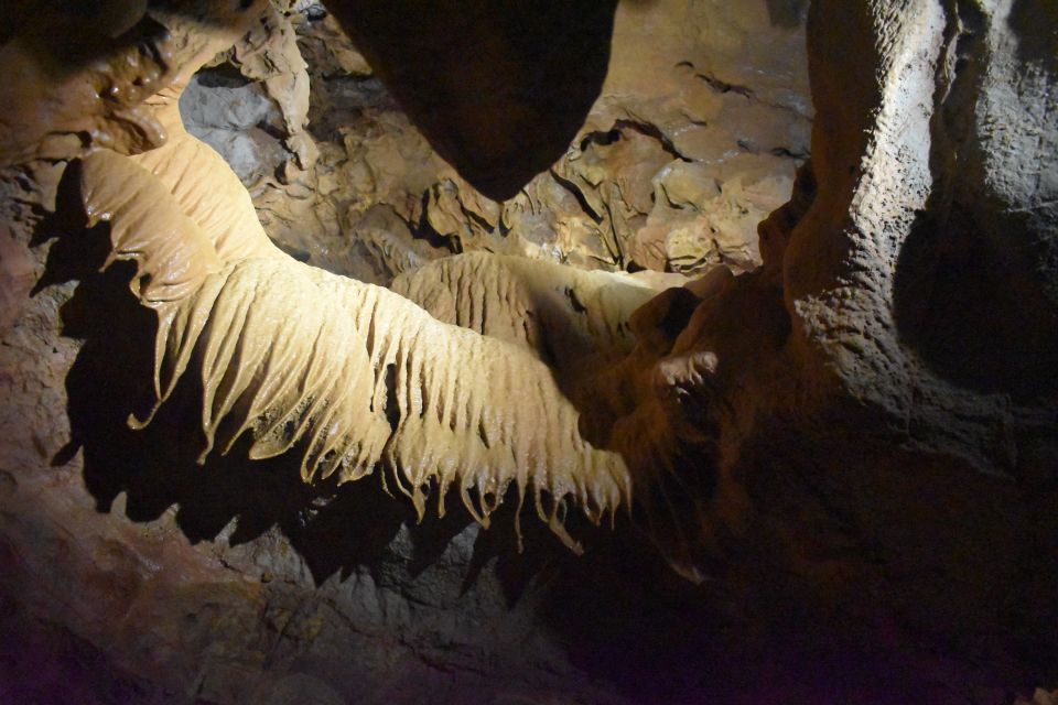 From Valencia: Caves of San José Guided Excursion and Ticket - Experience Highlights